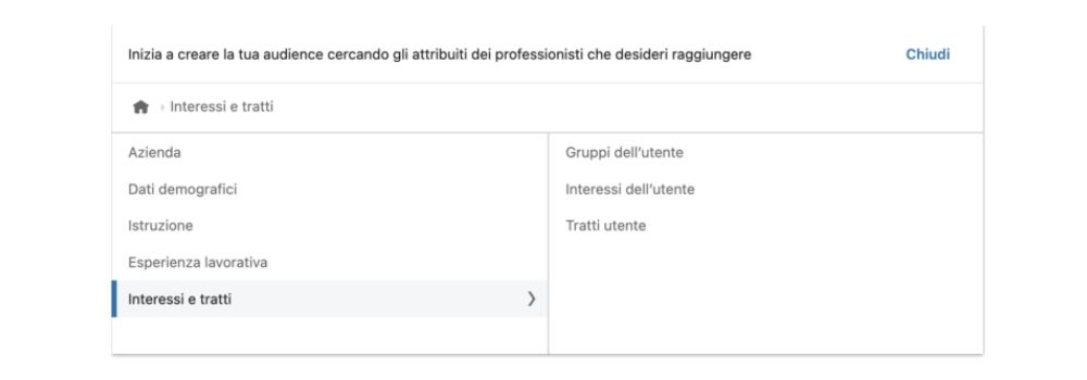 Linkedin-Interessi e tratti